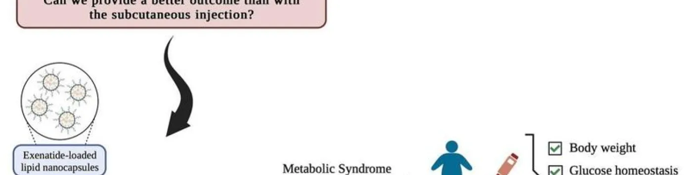 Exploitation de l'effet biologique des nanocapsules lipidiques dans la stéatose hépatique non alcoolique