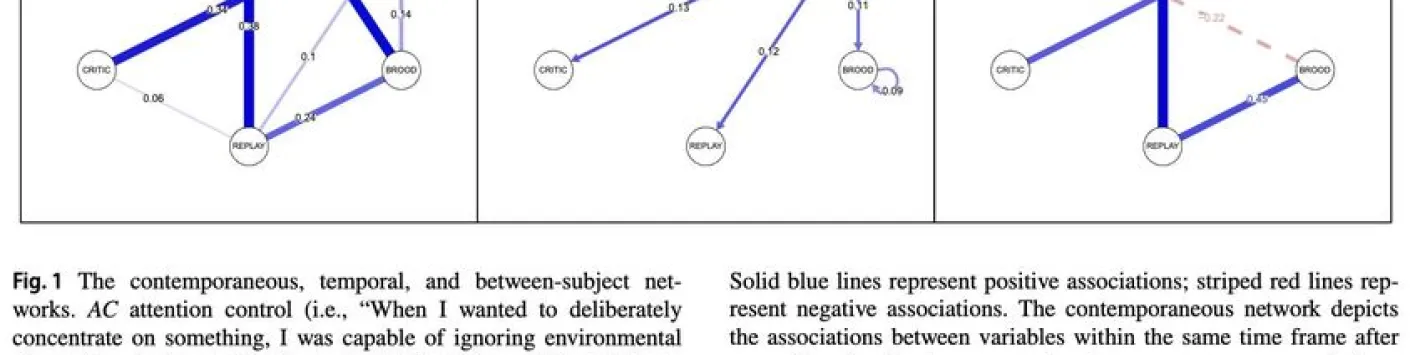La négativité est essentielle pour comprendre l'interaction entre les caractéristiques de la rumination, le contrôle de l'attention et leur nature dynamique : Une approche par réseau temporel