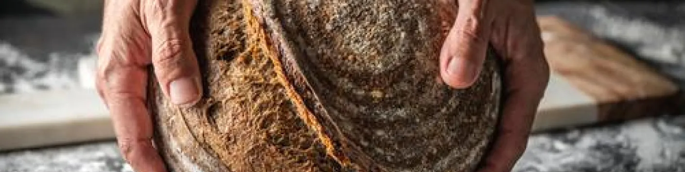 Podcast : "Le Pain qu'on sème"