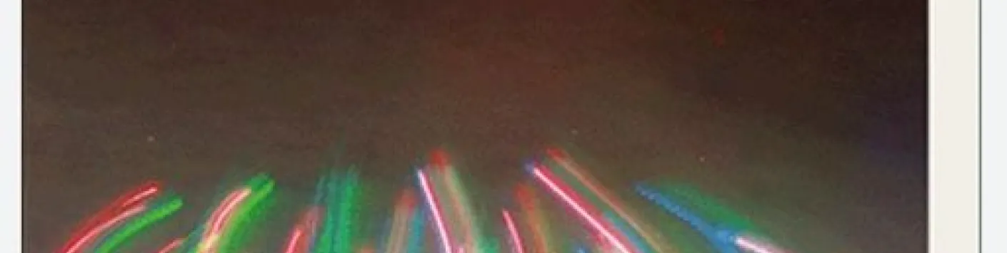 Auto-assemblage d'une protéine de ciment de bernacle en fibres amyloïdes entrelacées et détermination de leurs propriétés adhésives et viscoélastiques