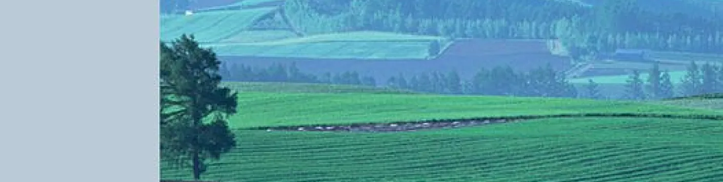 Améliorer la conception des chaînes locales d'approvisionnement courtes en produits alimentaires : le point de vue des agriculteurs en Wallonie