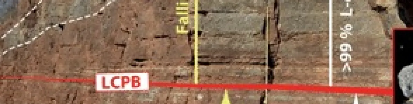 Une collision entre astéroïdes a boosté la biodiversité sur Terre il y a 470 millions d’années