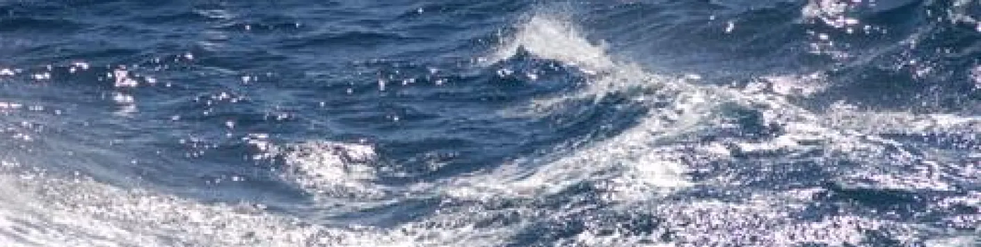 La séquestration de carbone par la pompe biologique n'est pas l’apanage de l’océan profond