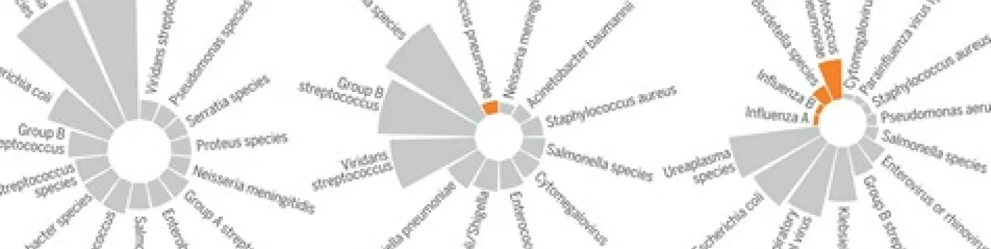 Stratégies vaccinales pour augmenter l’immunité du nouveau-né