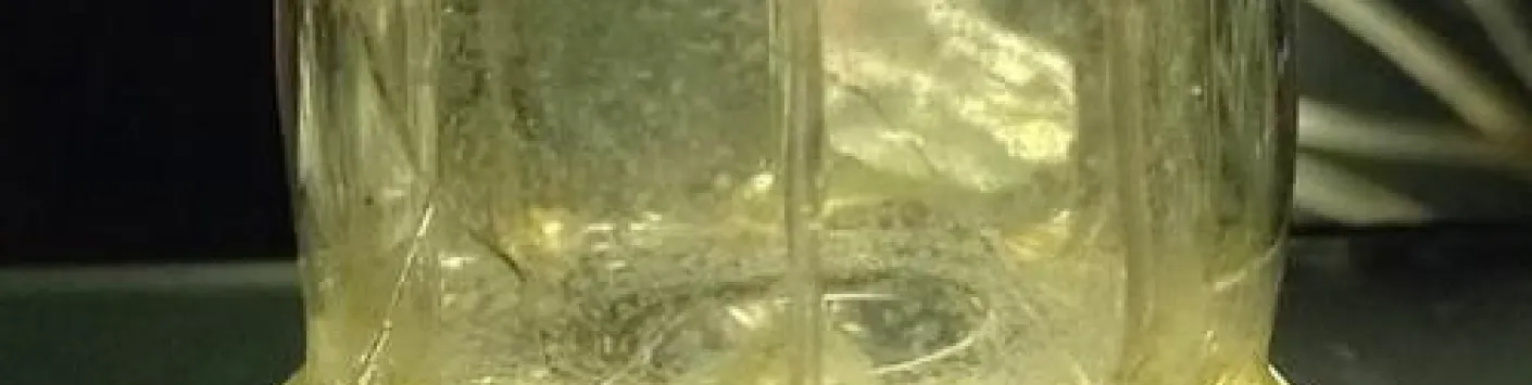 Les vacances, c'est aussi avoir du temps pour regarder en toute décontraction toutes les capsules Z-Science que vous avez loupées pendant l'année, que ce soit à la télé ou devant votre PC ...